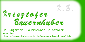 krisztofer bauernhuber business card